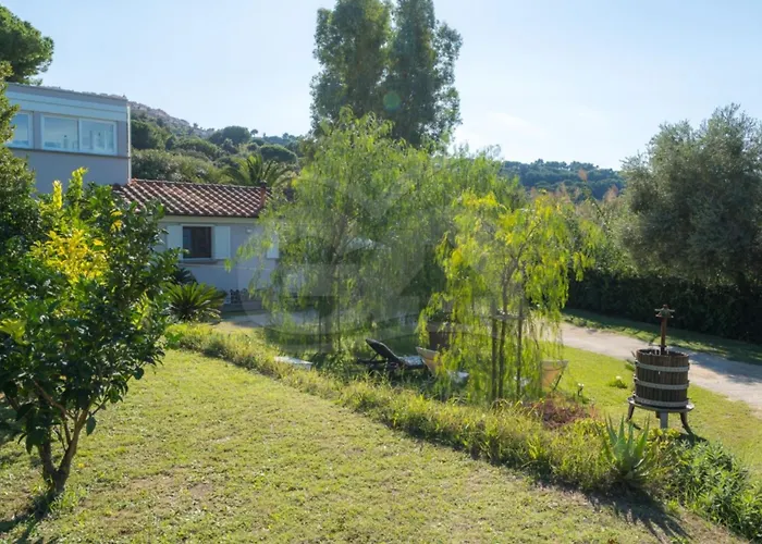 Chiara - Goelba Capoliveri (Isola d'Elba)
